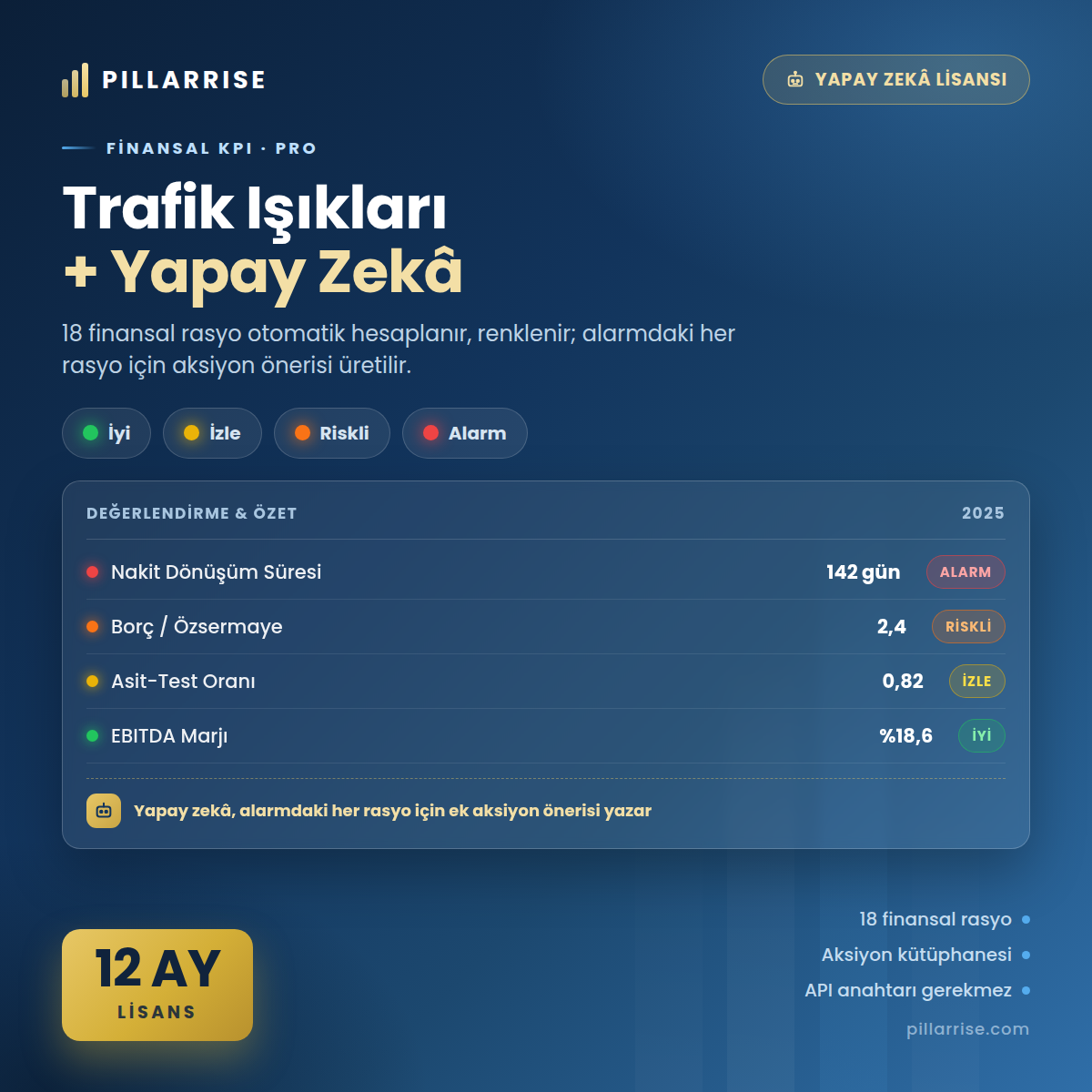 Finansal KPI - 12 Ay Lisans