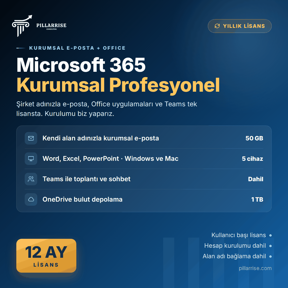 Microsof Profesyonel Mail - 1 Yıl
