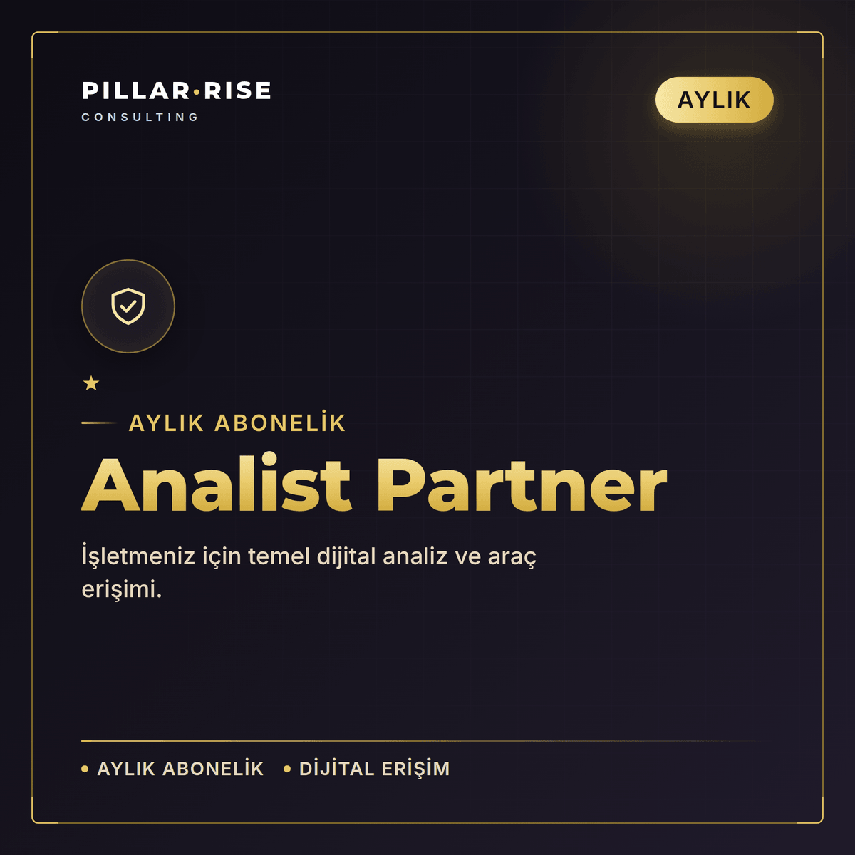 Analist Partner - Aylık
