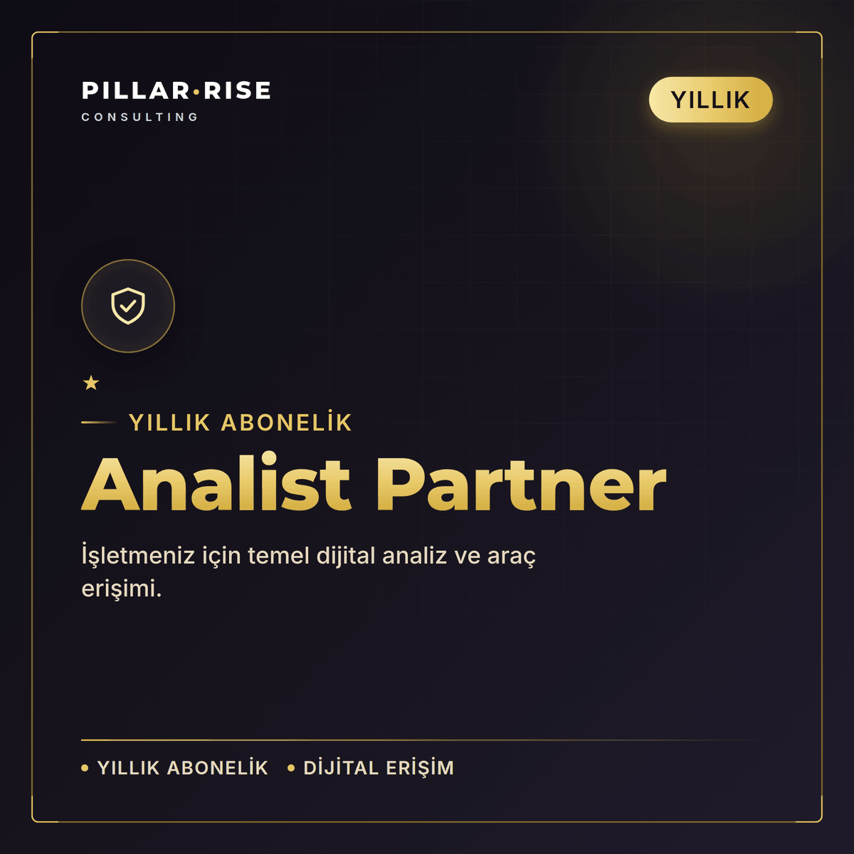 Analist Partner Yıllık