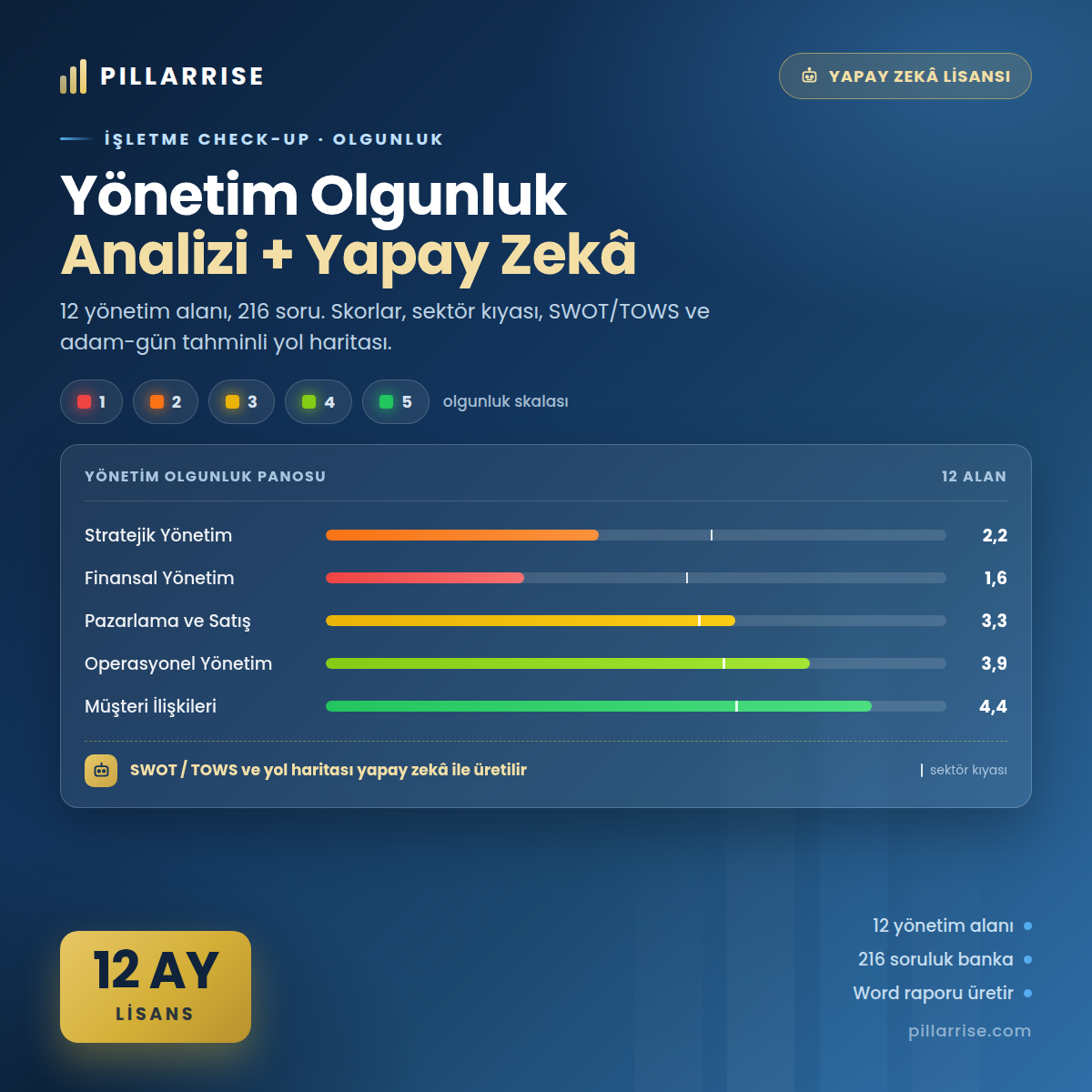Yapay Zeka Destekli Excel Şirket Analiz Aracı - 12 Ay Lisans